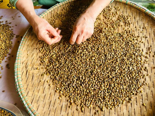 Liberica Natural – Bild 4