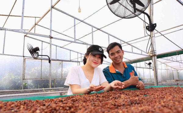 High Quality Robusta Yellow Honey CQI 76-79 – Bild 5