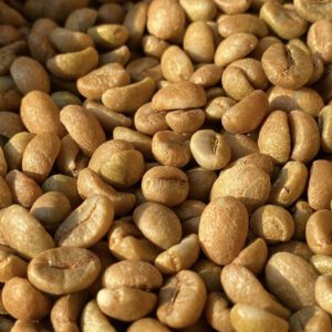 Fine Robusta Yellow Honey CQI 80